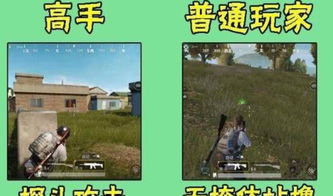 捡到一只战神回家挑粪大结局完整版--第1张