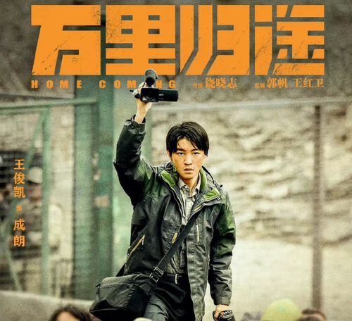 万里归来，万里归途短剧大结局完整版--第1张