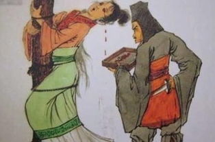 我在古代当夫子免费 我在古代富甲一方短剧大结局完整版 --第1张