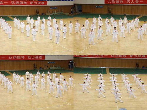 顾总别再说爱我短剧大结局，爱情终成眷属--第1张