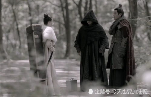 侯门闺杀大结局，完整版悬疑大剧--第1张
