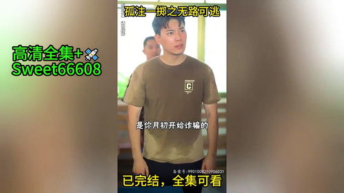 黑色的荣耀 黑色荣耀之孤注一掷短剧大结局完整版 --第1张