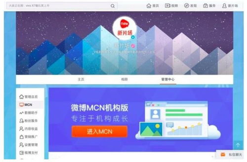 天庭直播计划大结局，天庭ceo免费下载--第1张