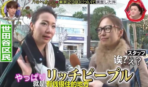 富婆情缘，叶凡美满生活大结局--第1张