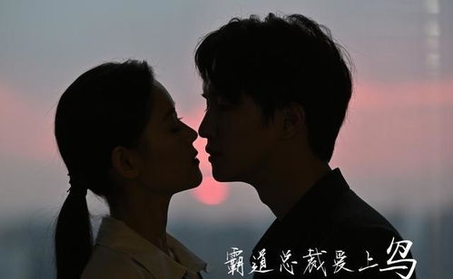 总裁宠妻，闪婚哑妻大结局资讯--第1张