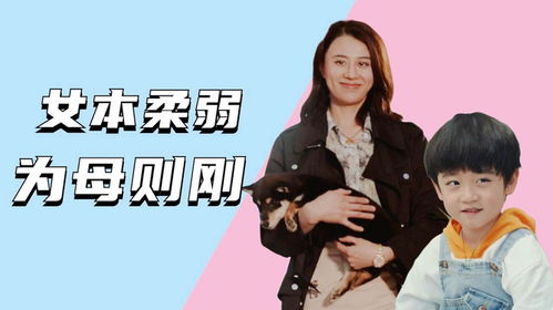 爱你是我的秘密短剧大结局资讯是第几集 爱你是我的秘密短剧大结局资讯 --第1张