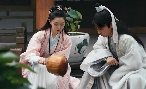 重生赘婿大结局_重生赘婿大结局视频--第1张