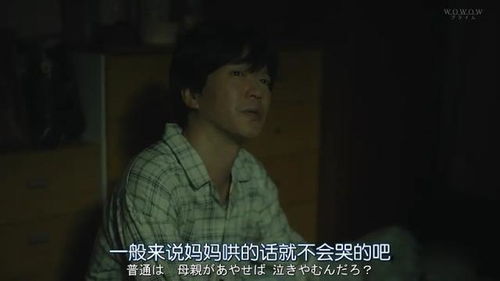 离婚后他后悔了小说 离婚后言少他后悔了 --第1张