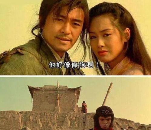 金莲喂药台词 金莲再喂我一次短剧大结局资讯 --第1张