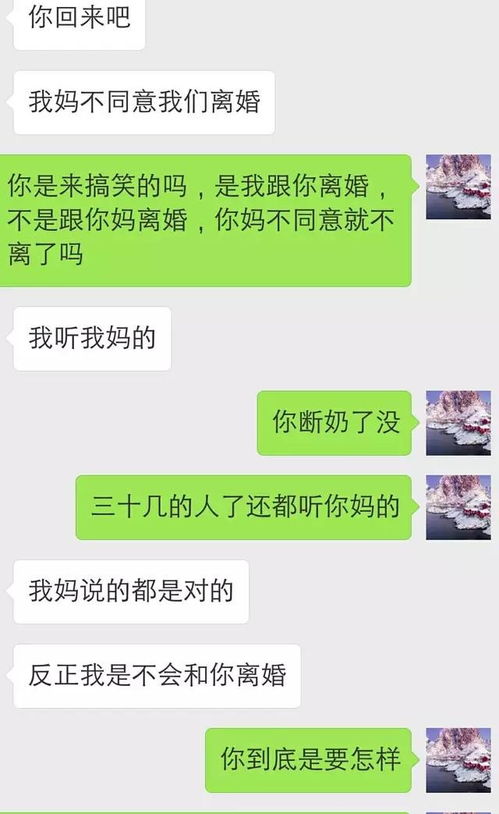 离婚吧妈妈，离婚妈妈竟是霸总白月光，卢c鹿鹿短剧大结局资讯--第1张