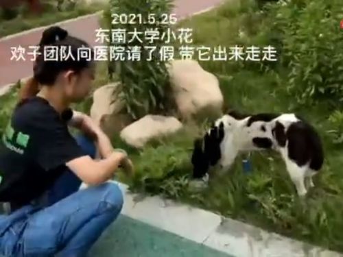 保安老爸是大佬短剧大结局资讯 保安老爸是大佬短剧大结局资讯视频 --第1张