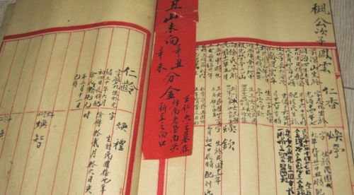  清明祭祖族谱为我单开一页——短剧大结局资讯 --第1张