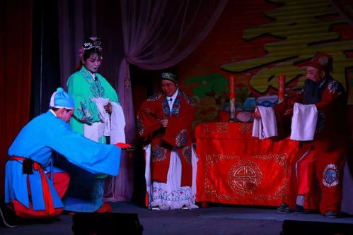 财神落难记短剧大结局资讯视频 财神落难记短剧大结局资讯 --第1张