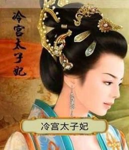 冷宫太子妃短剧大结局资讯 冷宫太子妃短剧大结局资讯 --第1张