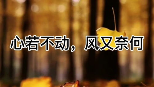 我能听见心声免费全文阅读 我能偷听心声 --第1张