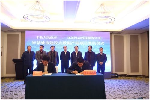 园区风云科技有限公司短剧大结局，园区风云科技公司发展前景展望--第1张