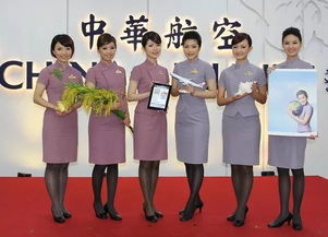 我的空姐老婆飞翔人生空中初探云诱短剧大结局资讯，我的老婆是空姐电视剧。--第1张