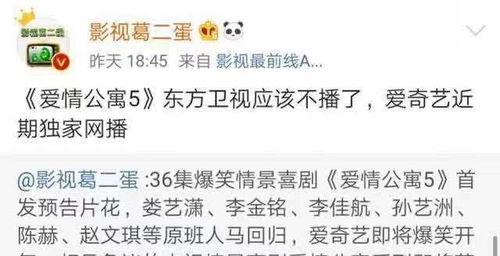 肆意放纵~短剧大结局资讯 肆意放肆什么意思 --第1张