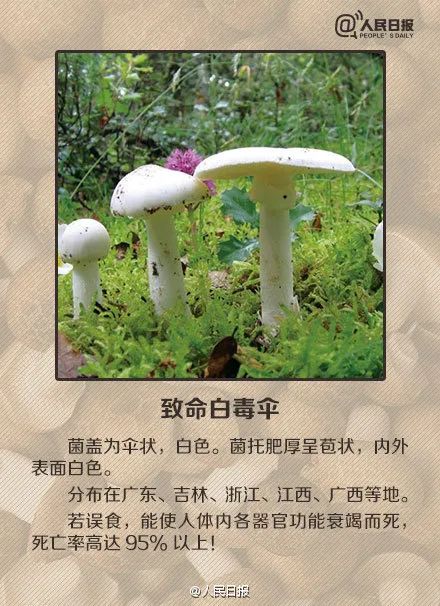 马甲夫妇大结局，夫妻马甲双双掉完，把家还于琬儿--第1张
