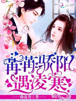 恰似寒冰遇骄阳短剧大结局，爱情终成，幸福美满--第1张