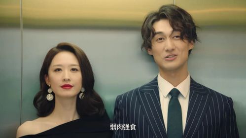 陆总的替身新娘 陆总的替嫁小宠妻短剧大结局资讯 --第1张