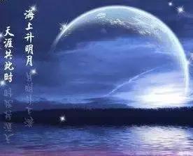 守护者，无眠的守望--第1张
