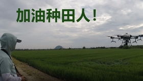 离职后我回家继承了千亿资产，辞职后种田大结局--第1张
