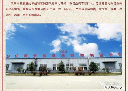 被校花表白的我苟成了世界首富大结局--第1张