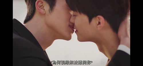 爱上我的男保镖短剧大结局资讯在线观看 爱上我的男保镖短剧大结局资讯 --第1张
