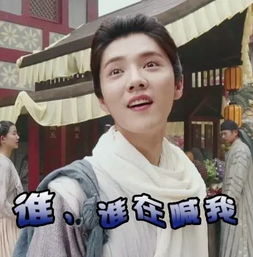 捡了一个美女 捡个美女带我逆天改命短剧大结局资讯 --第1张