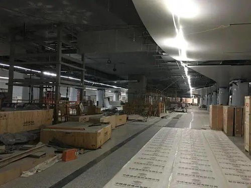 负债大逆转，负债十亿捡漏成大赢家，惊天逆转大结局--第1张