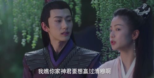 重生后，霍总娇宠藏不住，霍少宠妻无度--第1张