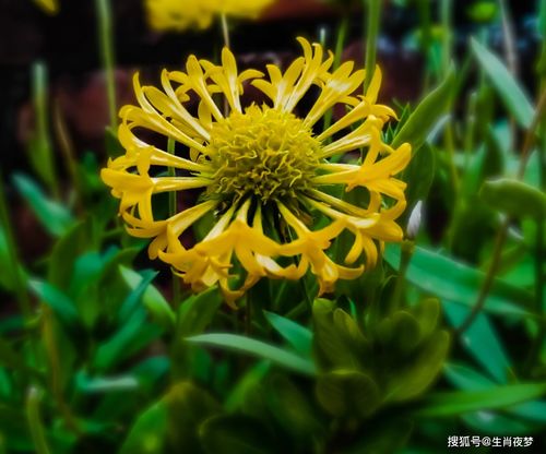 念念不忘朝思暮想意思 念念不忘暮云间短剧大结局资讯 --第1张