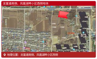 九州龙脉大结局，镇九州龙镇分短剧揭秘--第1张