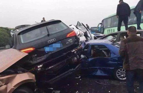 过度反应短剧大结局资讯 过度反应讲的是什么 --第1张