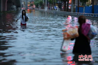 渔火照江眠短剧大结局资讯 渔火寒照雨 --第1张