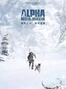 来时归途电影 来时有归途短剧大结局资讯 --第1张