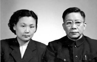 陆总夫人又来报复您了短剧大结局在线观看--第1张