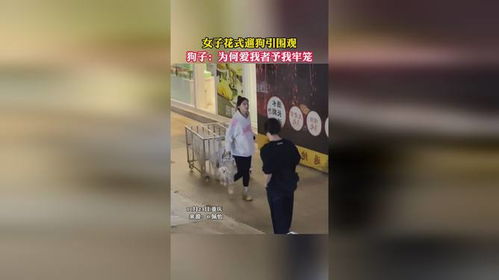 为何爱我，大结局的牢笼之爱--第1张