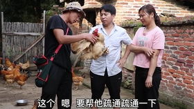 一胎双宝总裁找上门免费下载 一胎双宝抢个总裁当爹地，短剧大结局资讯 --第1张