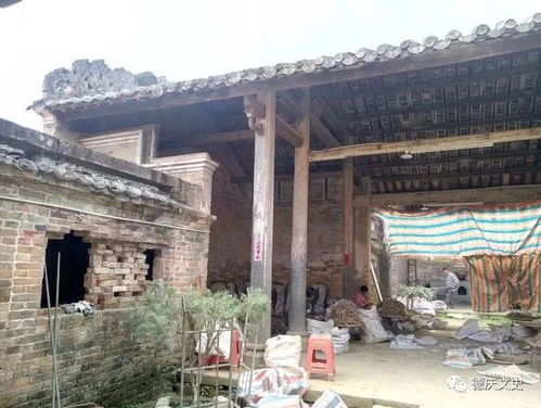 乡村大宁百家号 乡村大帝短剧大结局资讯 --第1张