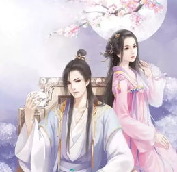 神医毒妃倾天下短剧最终回大结局资讯--第1张