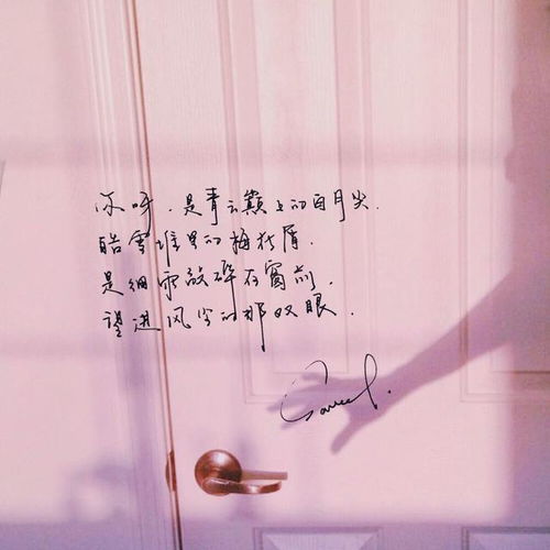 你从未爱我 爱你从未是救赎 --第1张