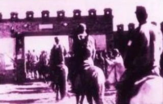 回到民囯当军帅大结局，回到民国当元首(免费)--第1张