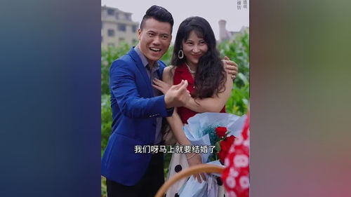 大小姐归来短剧大结局资讯视频报道--第1张