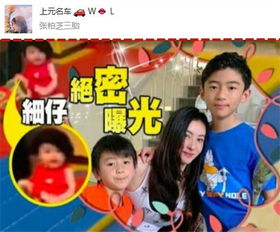 神秘爹地宠上天，幸孕宝贝总裁爹地请排队大结局--第1张