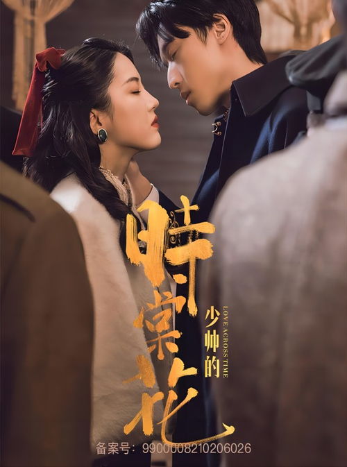 少帅不敢爱短剧大结局在线观看，少帅终于勇敢追求真爱--第1张