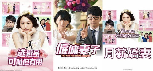 服务至上女总裁擦边剧短剧大结局资讯 服务至上什么意思? --第1张