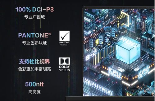 我的精神病友 我的精神病一触即发短剧大结局资讯 --第1张