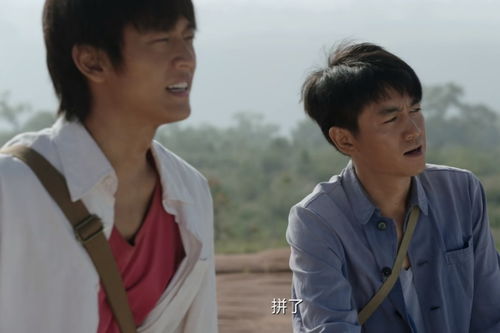 惹是生非的她短剧大结局，意料之外的结局--第1张